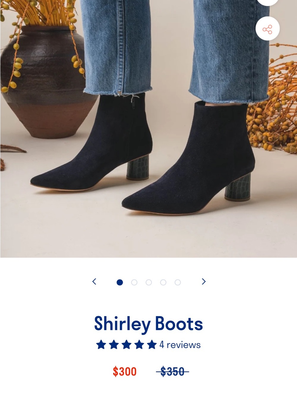 Boots — Black Suede Pointed Ankle Boot